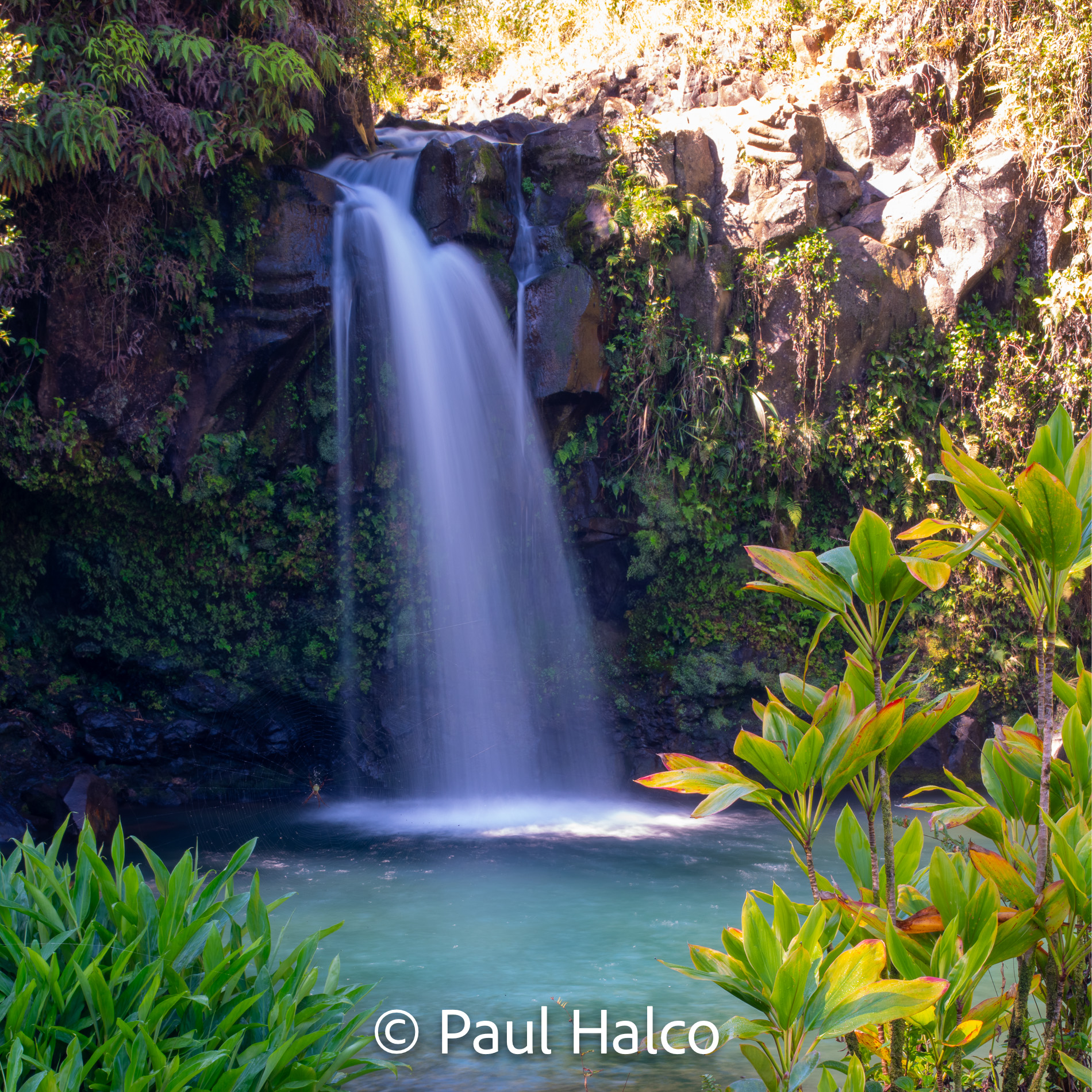Paul Halco - Hawaii-6